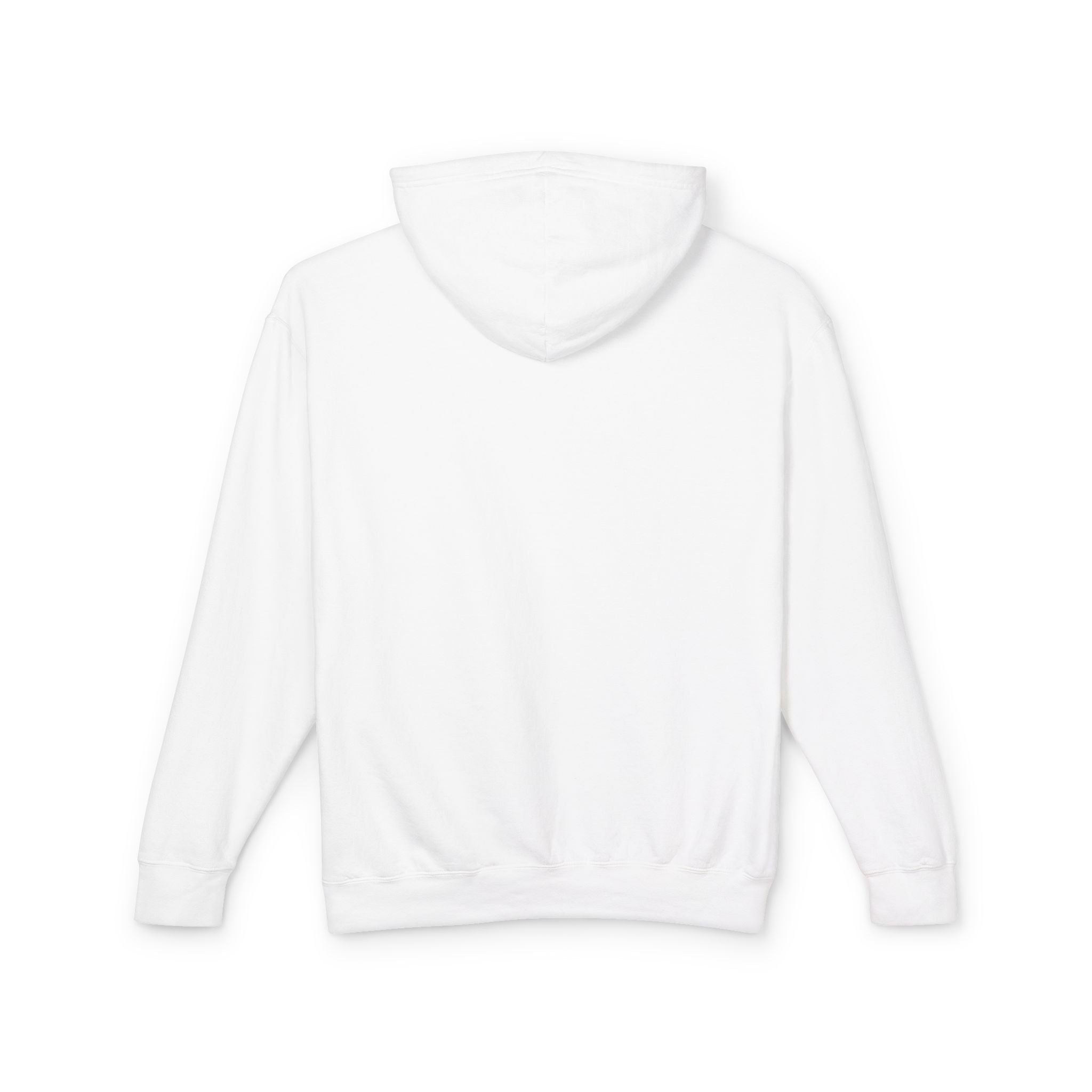 Graduation Teddy Bear Hoodie